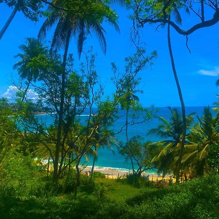Bluewind Resort Tangalle Exteriér fotografie