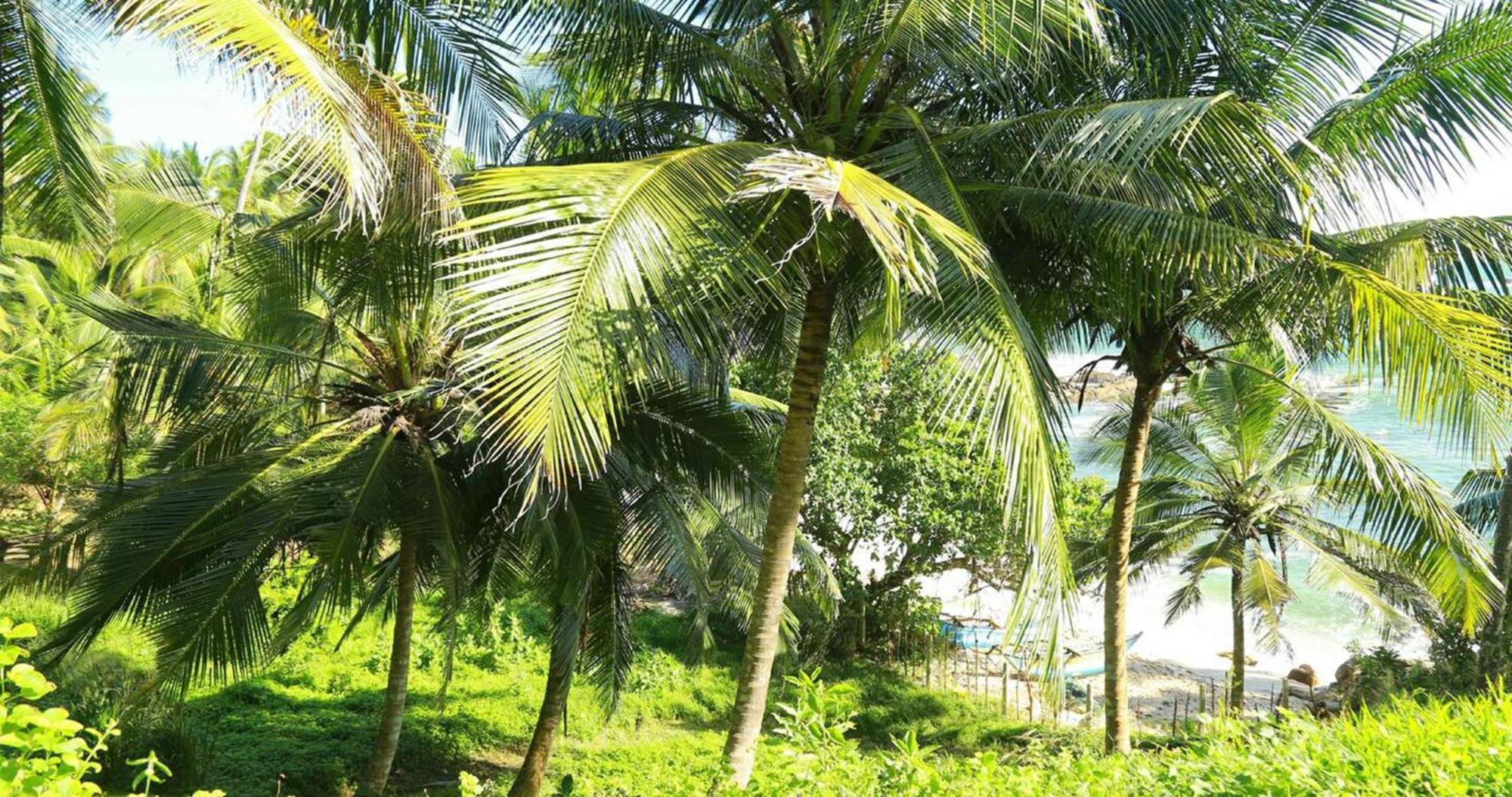 Bluewind Resort Tangalle Exteriér fotografie